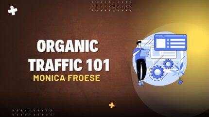 Organic Traffic 101